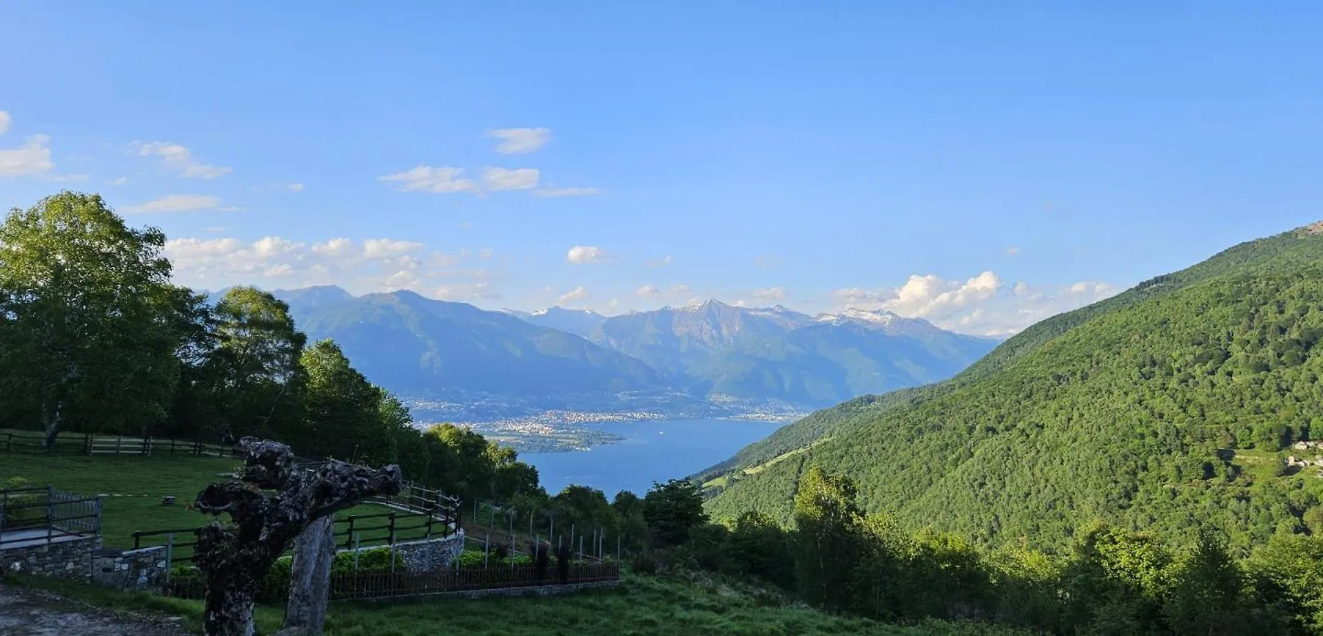 Ferienhaus Villa Viola Monti di Pino